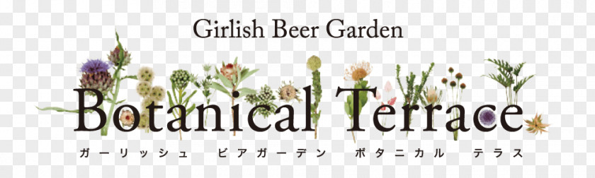 Beer Garden Cut Flowers Logo Brand Tree Font PNG