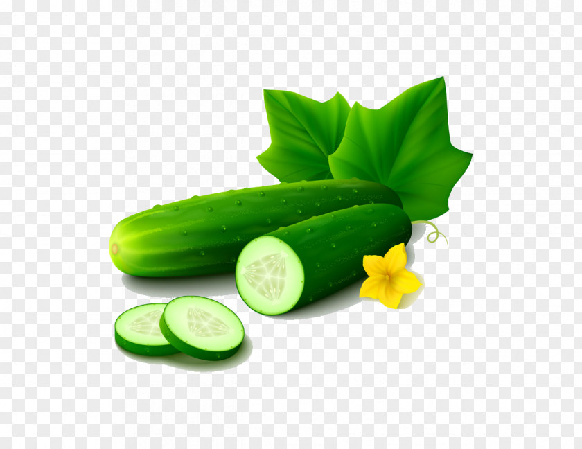 Cucumber Vegetable Cartoon PNG