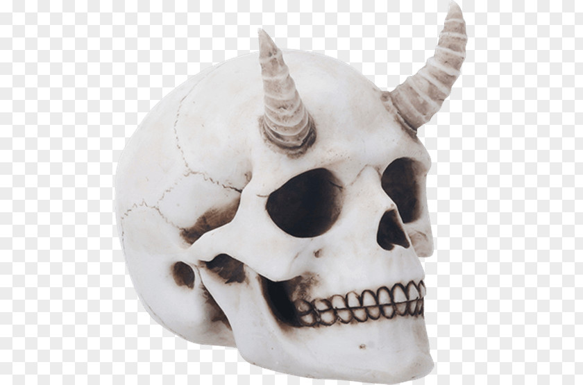 Devil Skull Human Horn Skeleton Calavera PNG