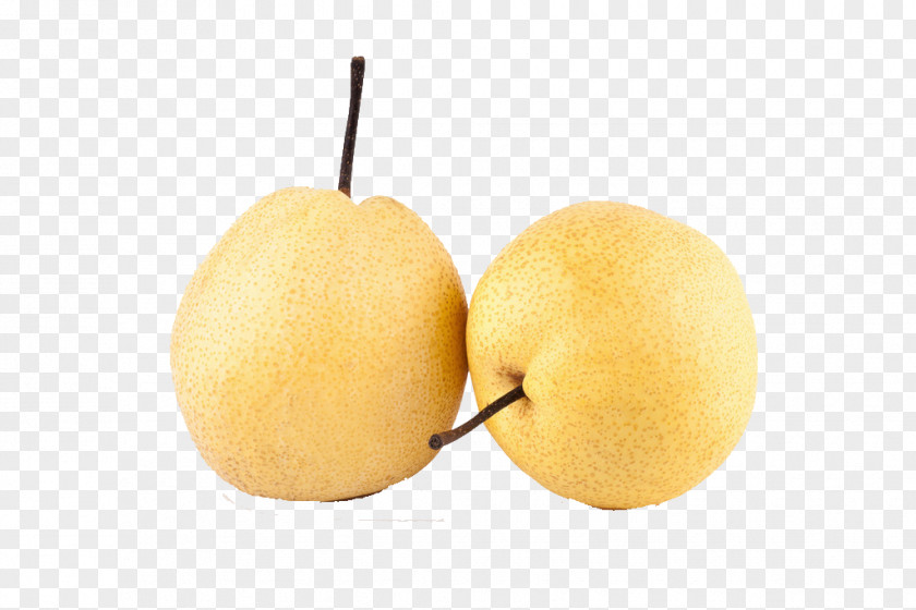 Fresh Pears Asian Pear Lemon Pyrus Xd7 Bretschneideri Nivalis PNG