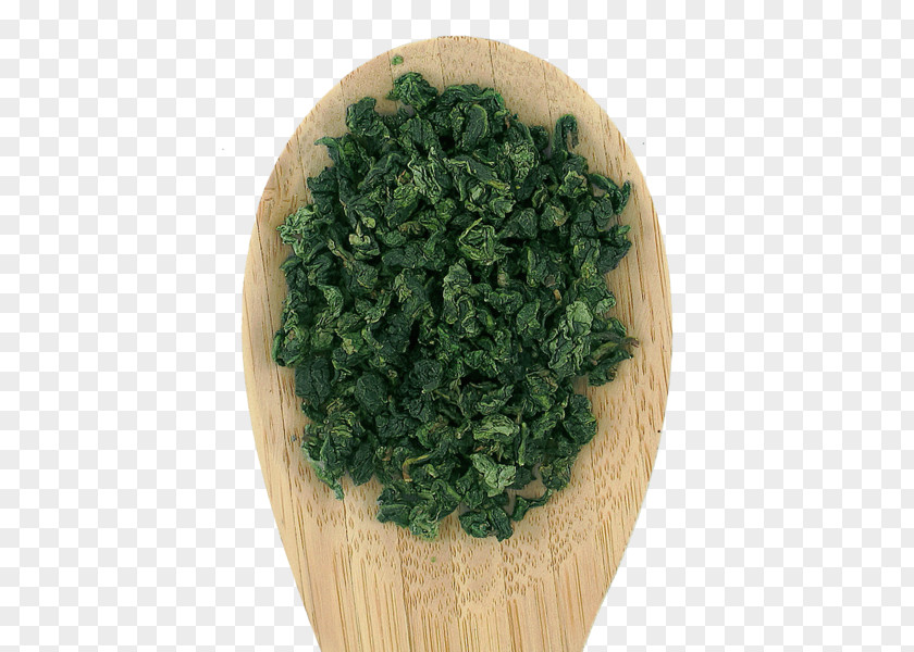 Guan Yin Parsley Tieguanyin Flowerpot Green Laver Spinach PNG