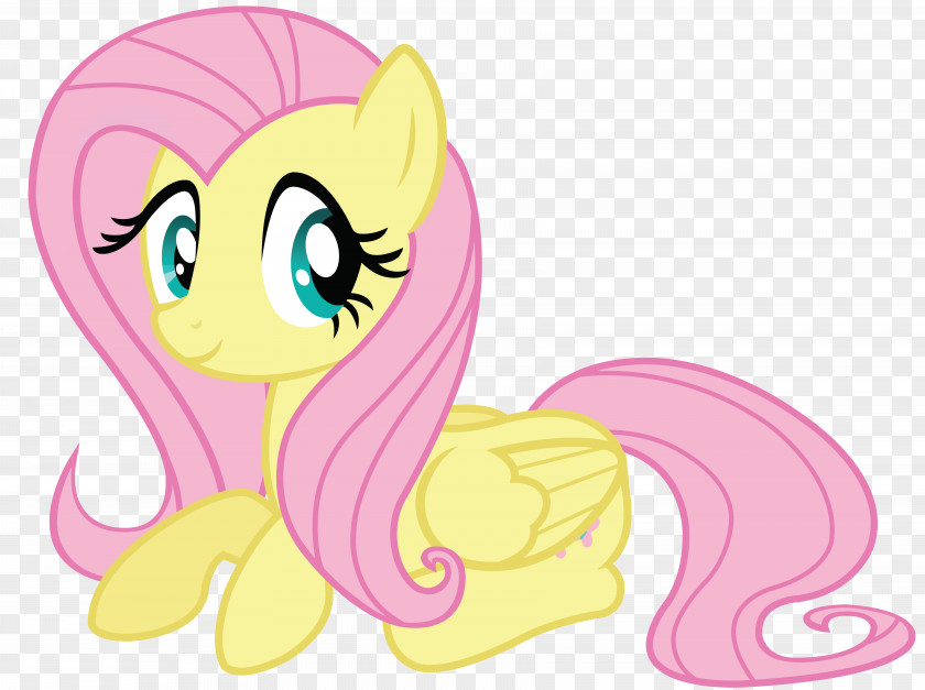 My Little Pony Fluttershy Rarity Twilight Sparkle Derpy Hooves PNG
