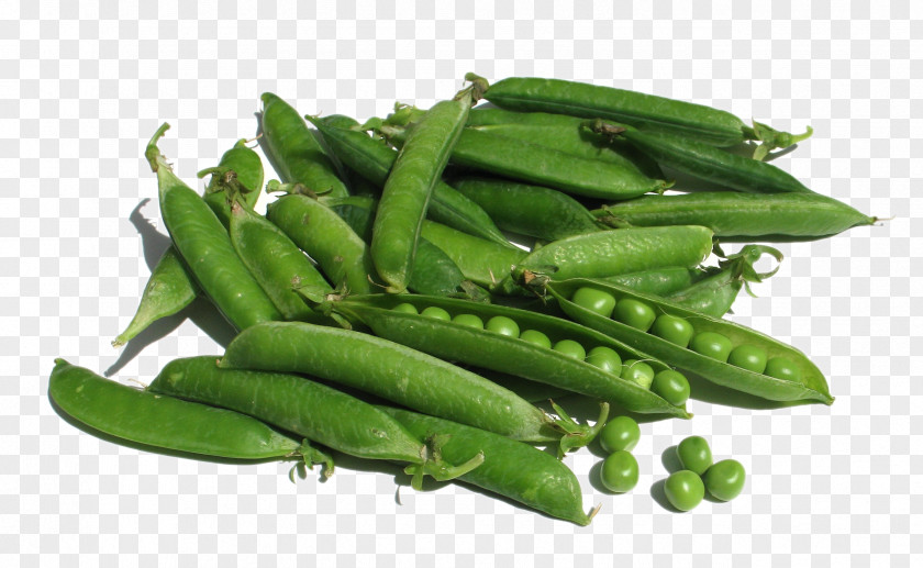 Snow Pea Snap Green Bean Vegetable Fruit PNG