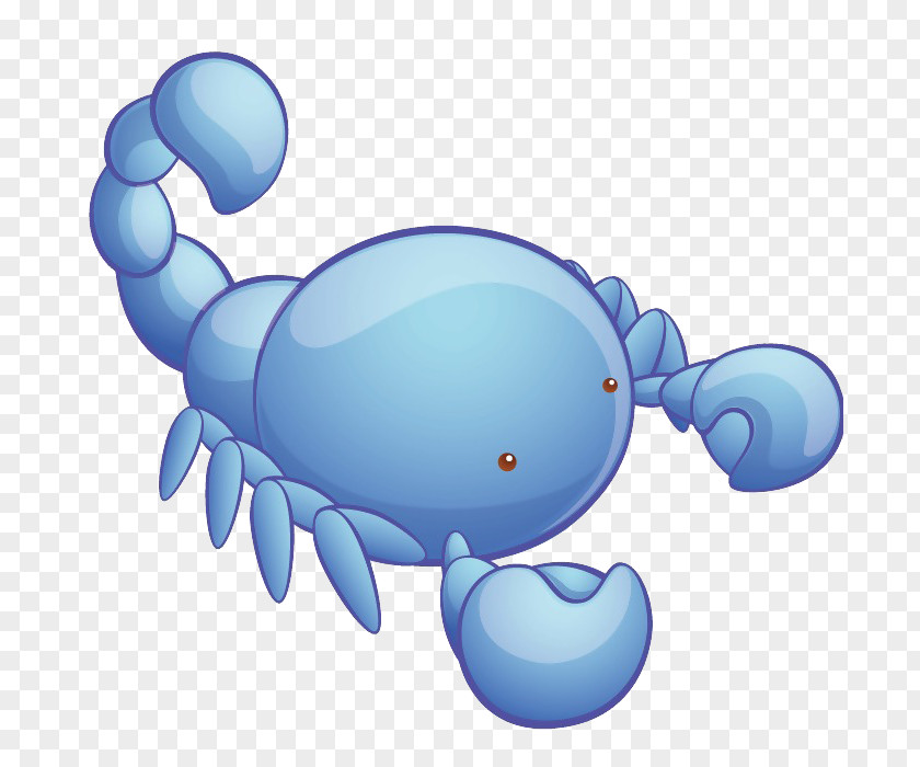 Animal Scorpion Cartoon Avatar Clip Art PNG