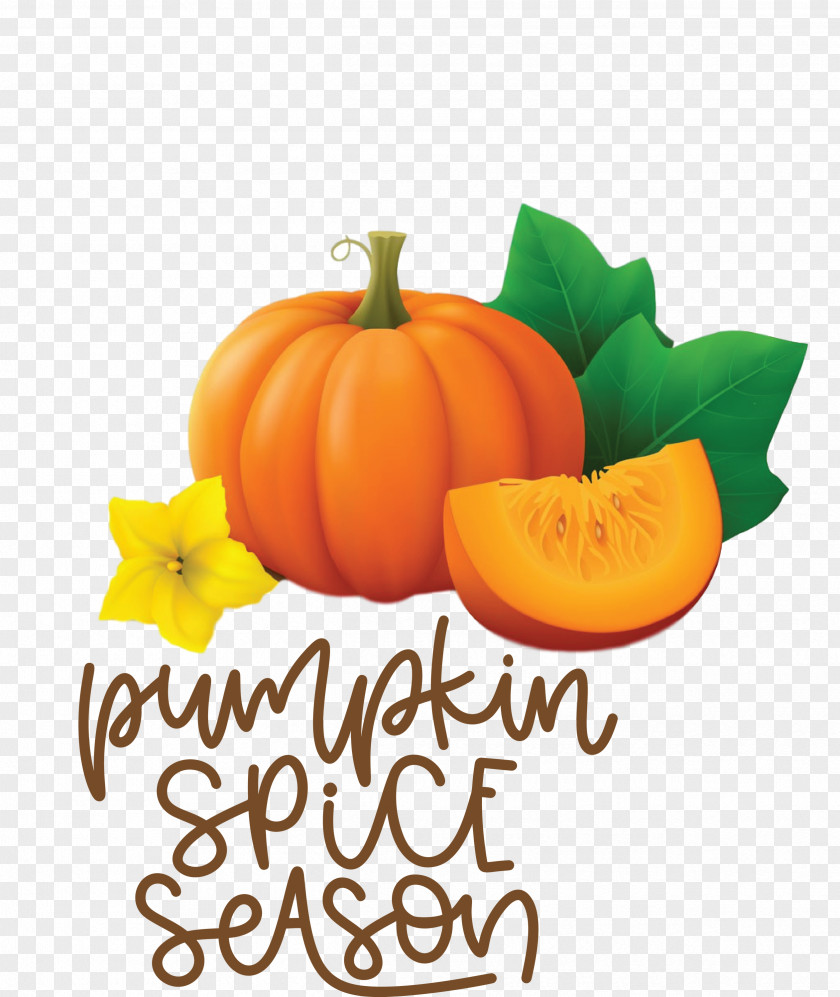 Autumn Pumpkin Spice Season Pumpkin PNG