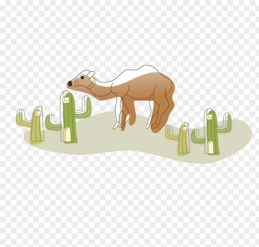 Desert Camel Drawing Illustration PNG