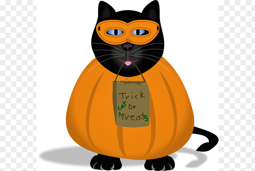 Halloween Cat Pics Whiskers Clip Art PNG