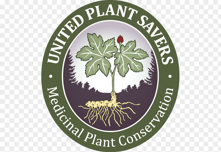 Plant United Savers Medicinal Plants States Goldenseal PNG