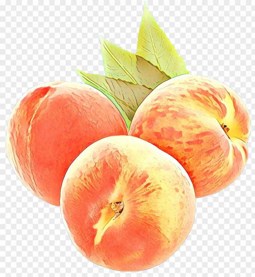 Superfruit Nectarines Fruit Cartoon PNG
