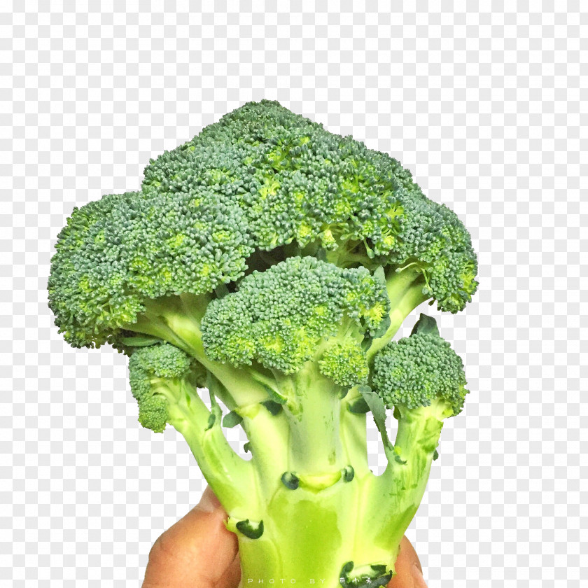 A Broccoli Vegetable Cauliflower Icon PNG