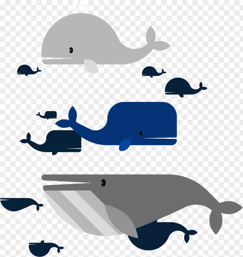 Beluga Whale Family Moby-Dick Dolphin Moby Dick PNG