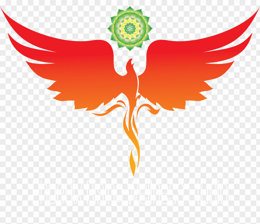 Phenix Vector Phoenix Firebird Logo Legendary Creature PNG