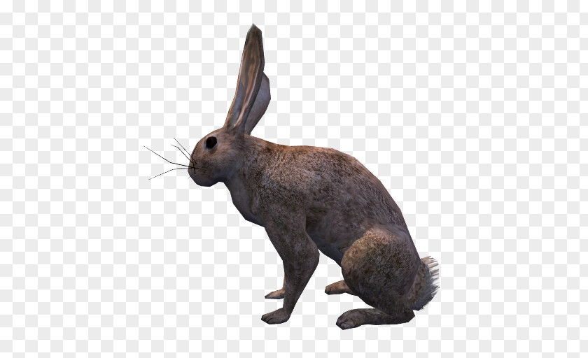 Rabbit Domestic Hare OpenGameArt.org Low Poly PNG