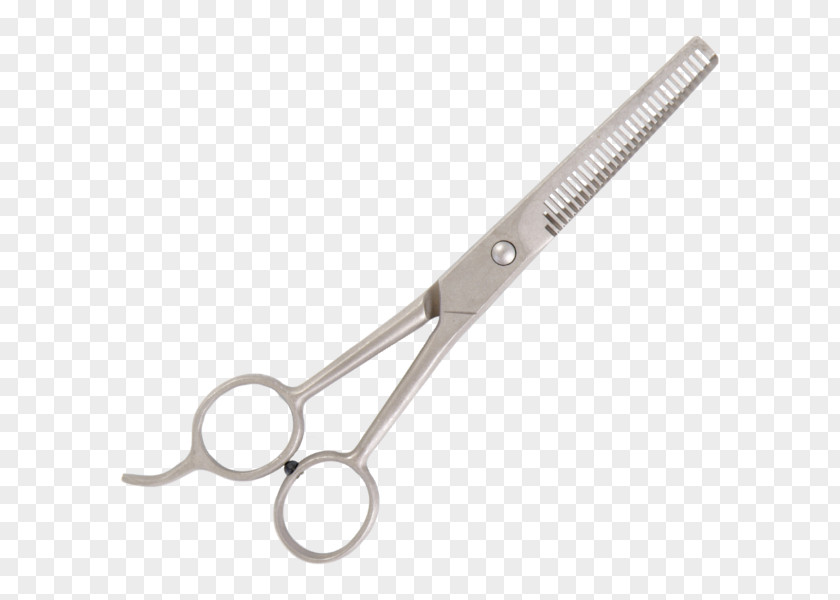 Beauty Scissors Hair-cutting Shears Angle PNG