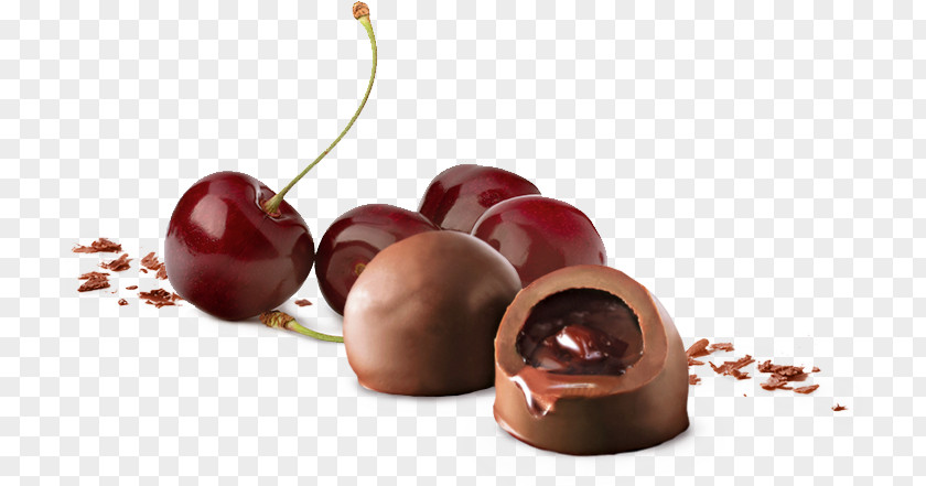 Chocolate Mozartkugel Bonbon Truffle Balls Praline PNG