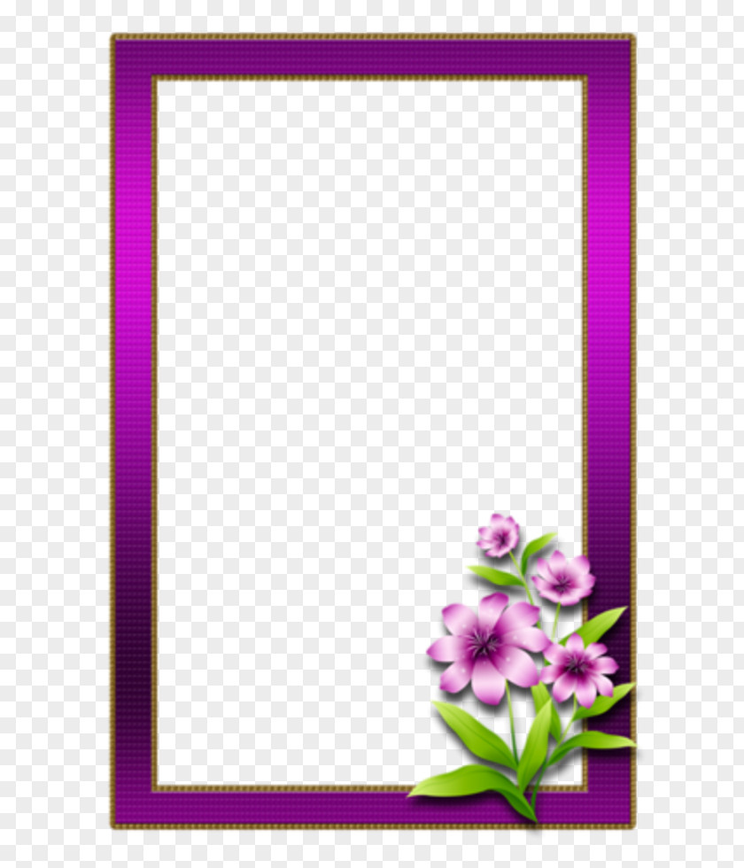 Floral Design Picture Frames PNG
