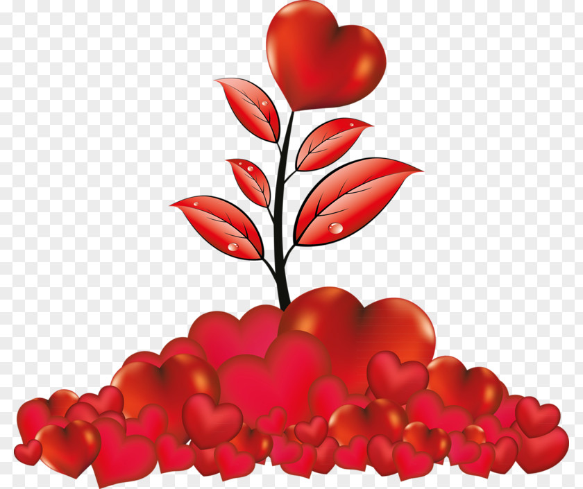 Flower Heart Clip Art PNG