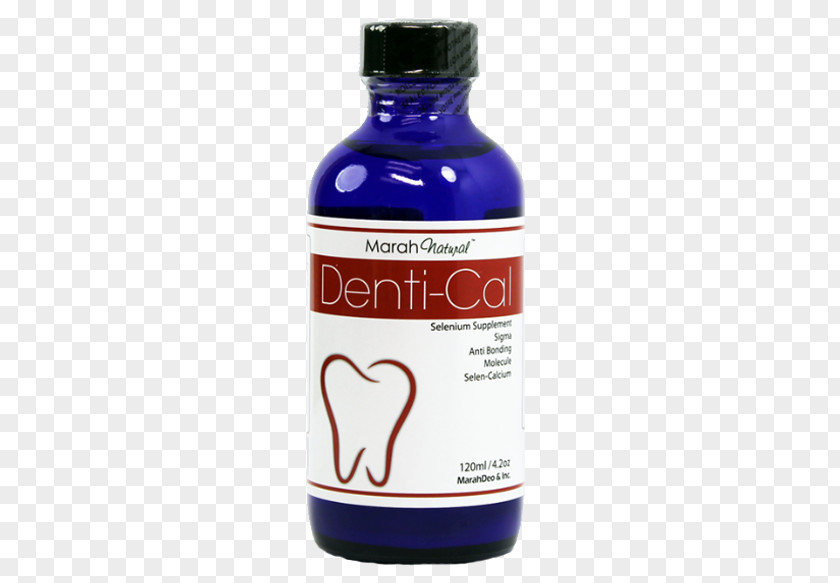 Health Dentistry Tooth Bone Vitamin PNG