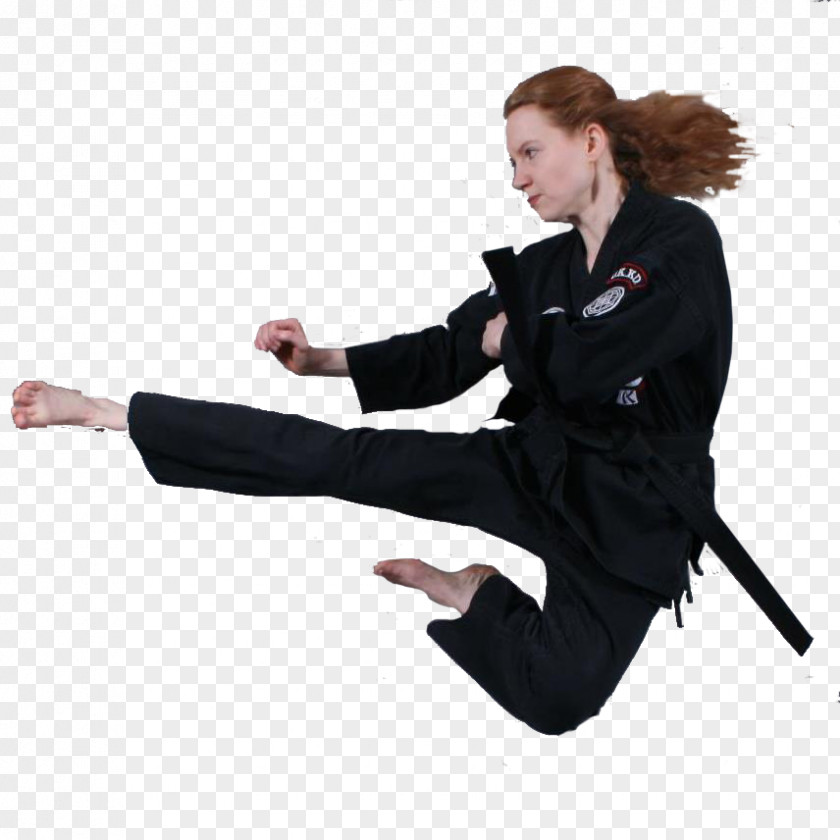 Karate Kenpō Martial Arts Tai Chi American Kenpo PNG