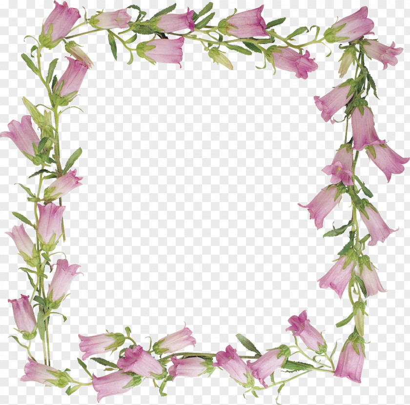 Lily Of The Valley Picture Frames PNG