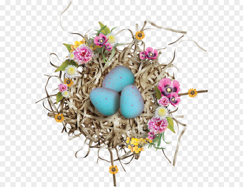 Blue Eggs Bird Nest Easter PNG