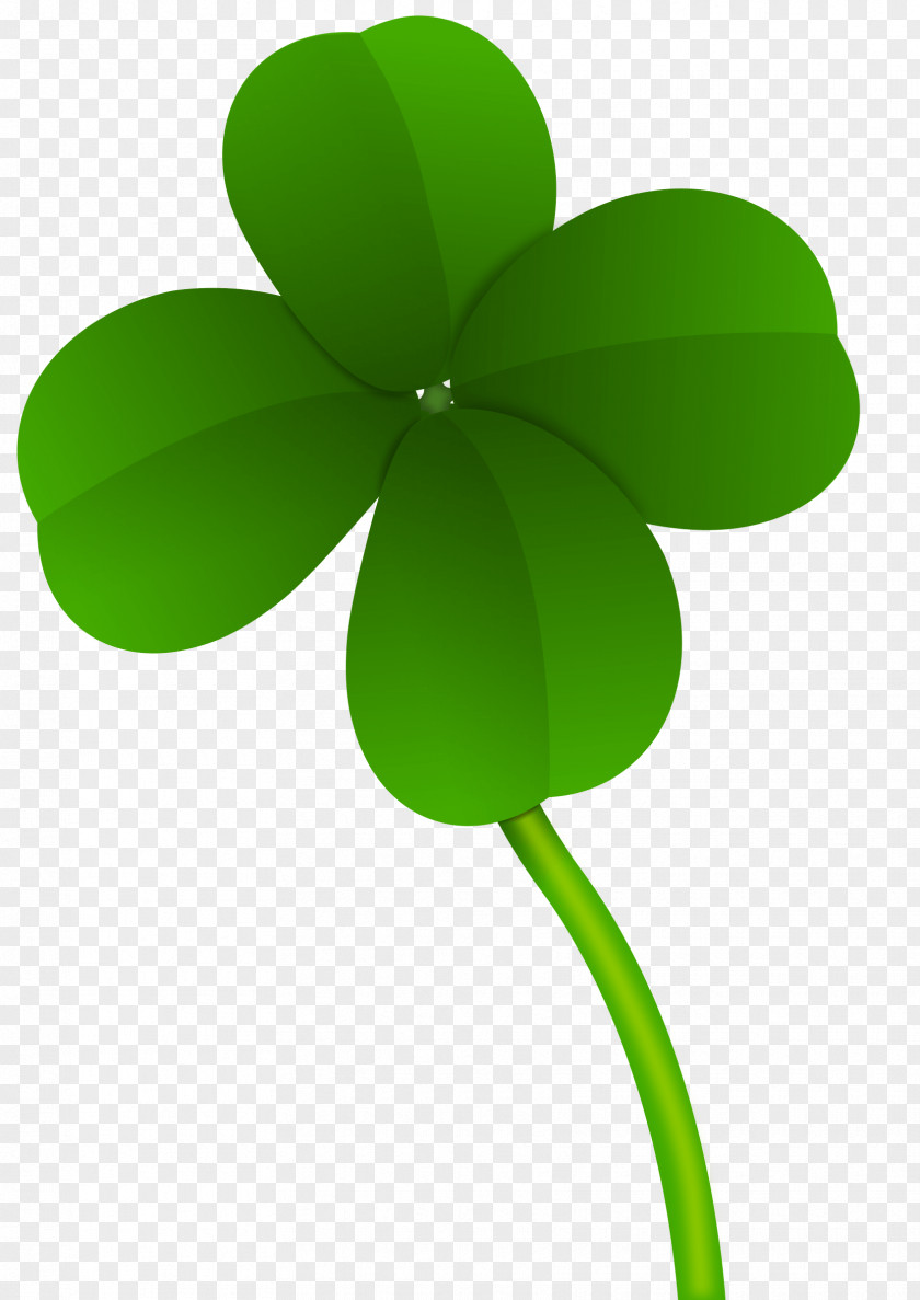 Green Clover Image Four-leaf PNG