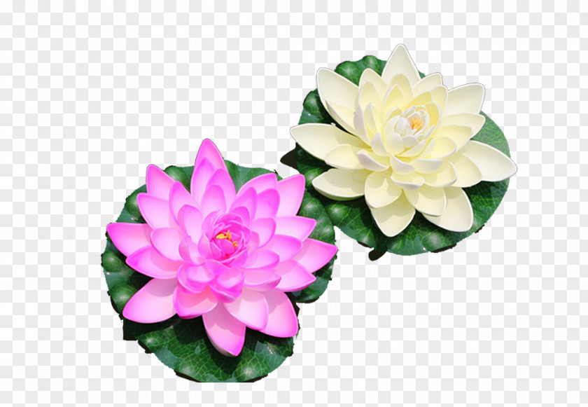 Lotus Water Lamp Lily Nelumbo Nucifera Artificial Flower Effect PNG