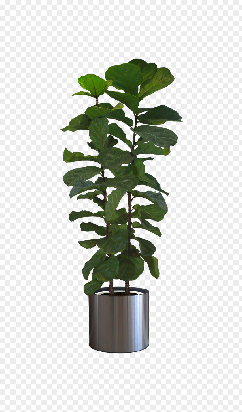 Potted Plants Icon PNG