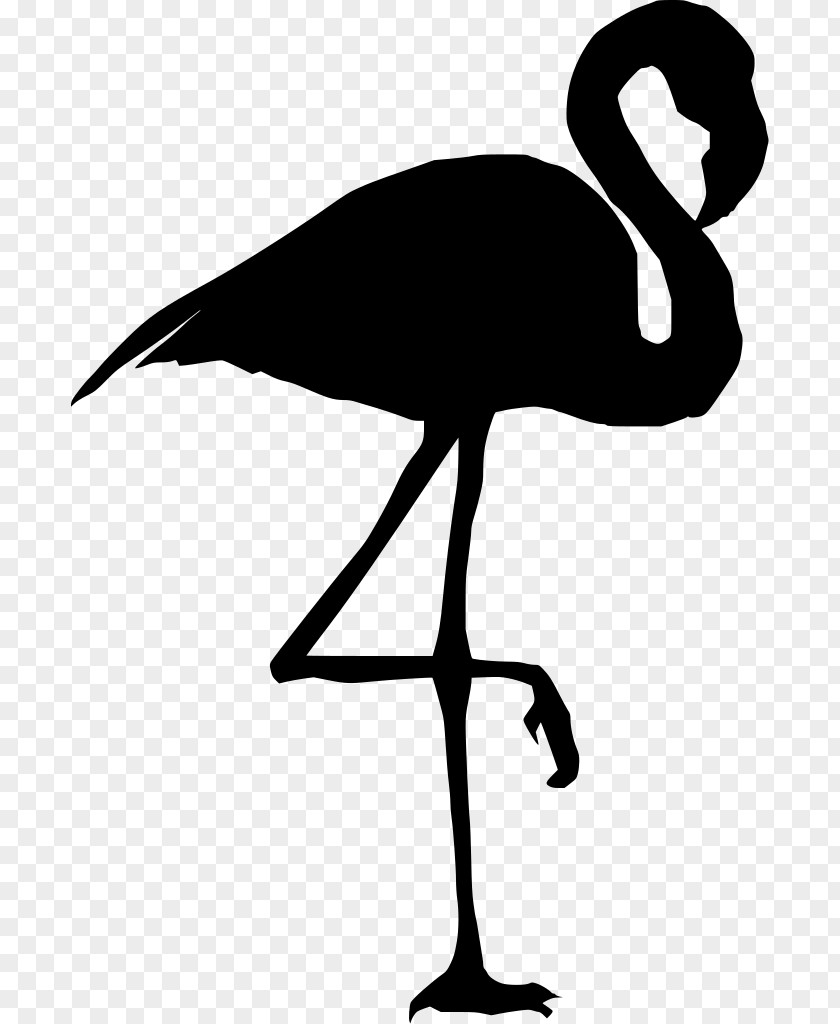 Tail Emu Flamingo Silhouette PNG