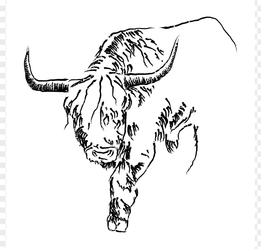 Taurus Cliparts Cattle Drawing Bull Clip Art PNG