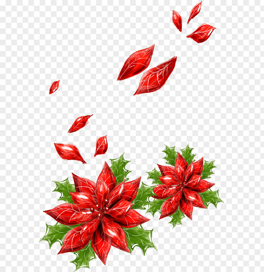 Flower Petals Floating Christmas Card Greeting Wish PNG