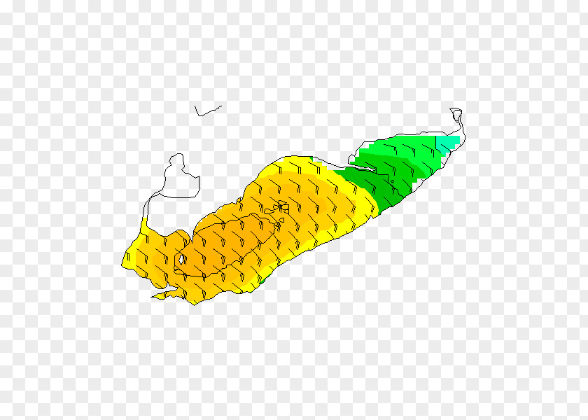 Insect Corn On The Cob PNG
