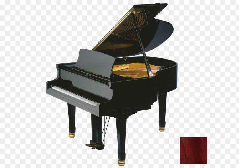 Piano Petrof Grand Steinway & Sons Musical Instruments PNG