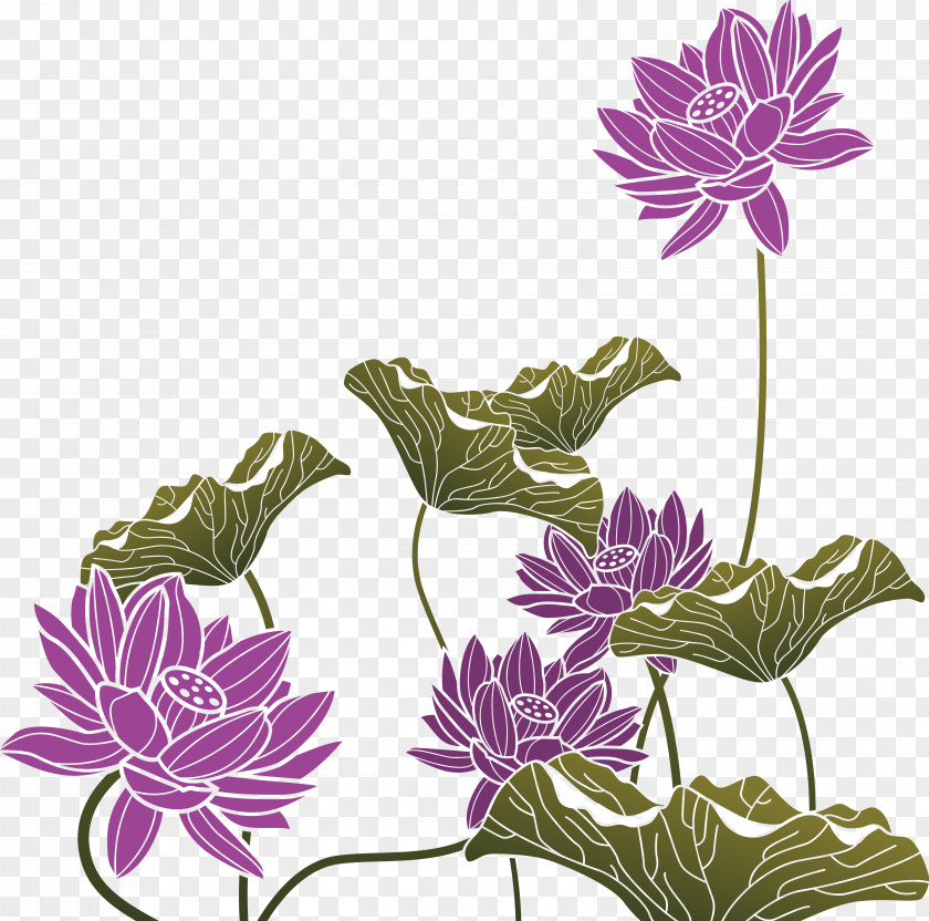 Purple Lotus FIG. China PNG