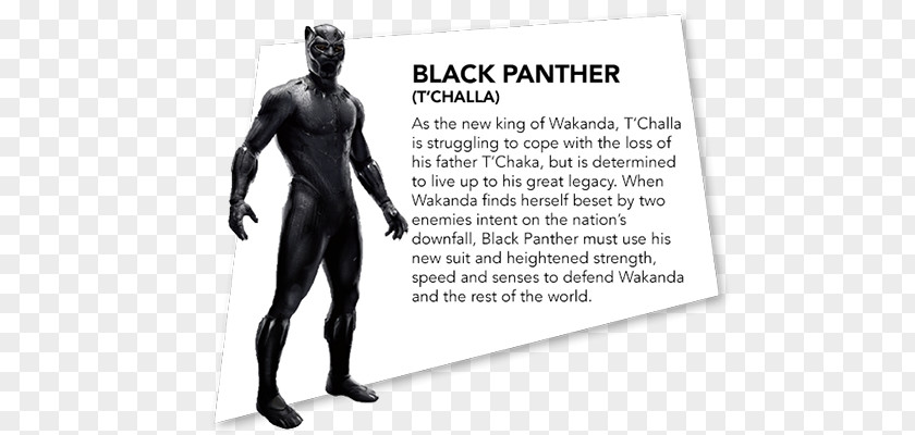 Chadwick Boseman Black Panther Everett K. Ross Erik Killmonger Man-Ape Shuri PNG