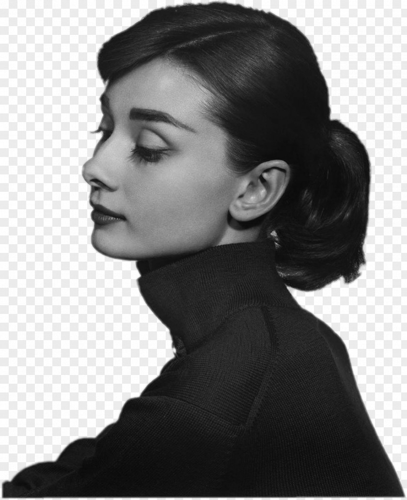 Photographer Audrey Hepburn Sabrina Photography Portrait PNG