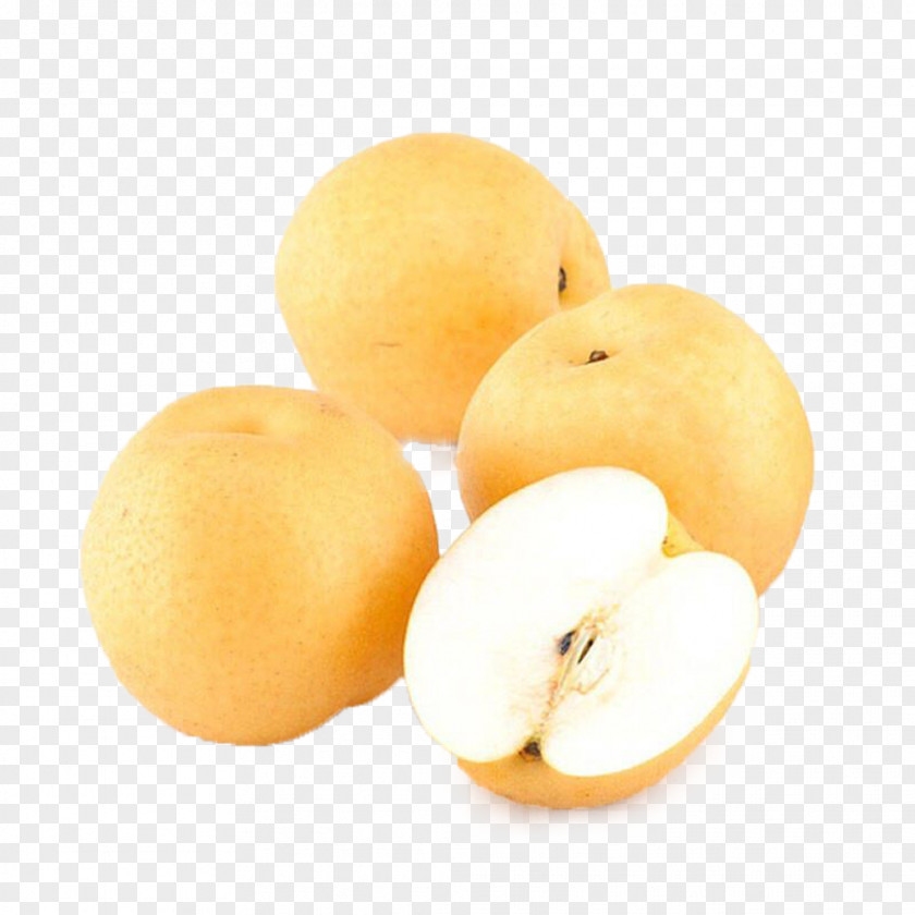 Several Pears Picture Material Pyrus Nivalis Asian Pear Citrus Junos Fruit PNG