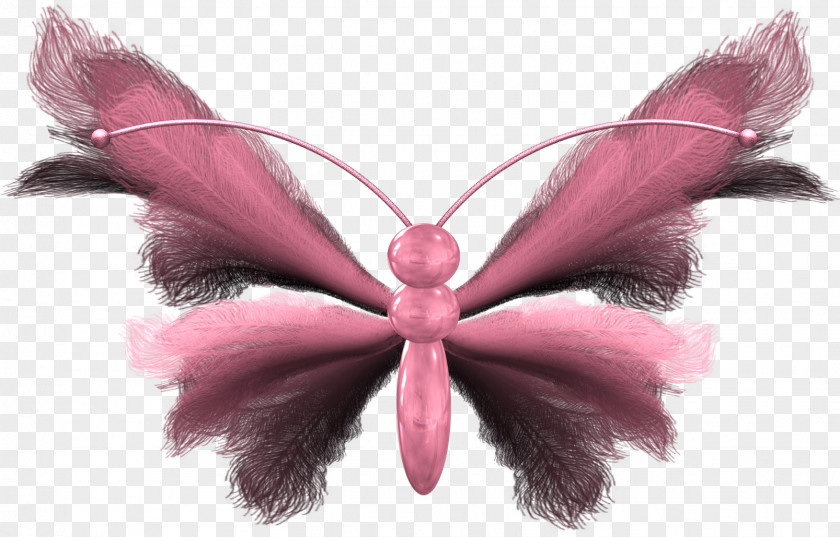 Butterflies Float Animation Clip Art PNG