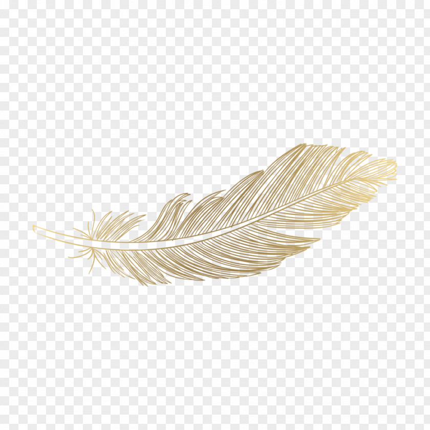 Gold Feather Photography Image 0 PNG