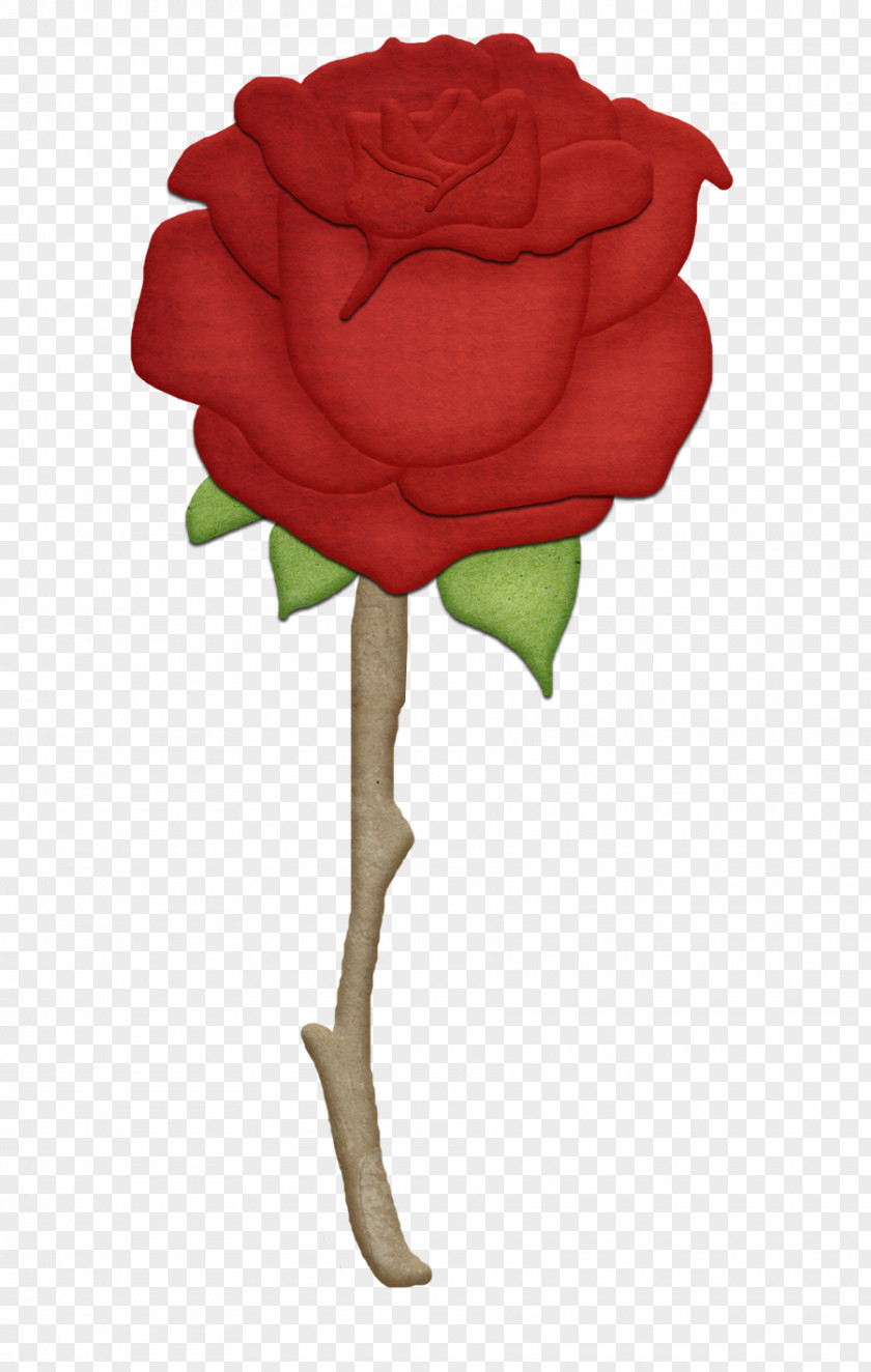 Little Prince Rose The Photography Clip Art PNG