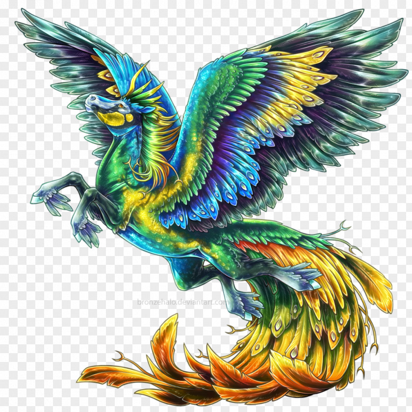 Phoenix Mirror Sight DeviantArt Pegasus Unicorn Legendary Creature PNG