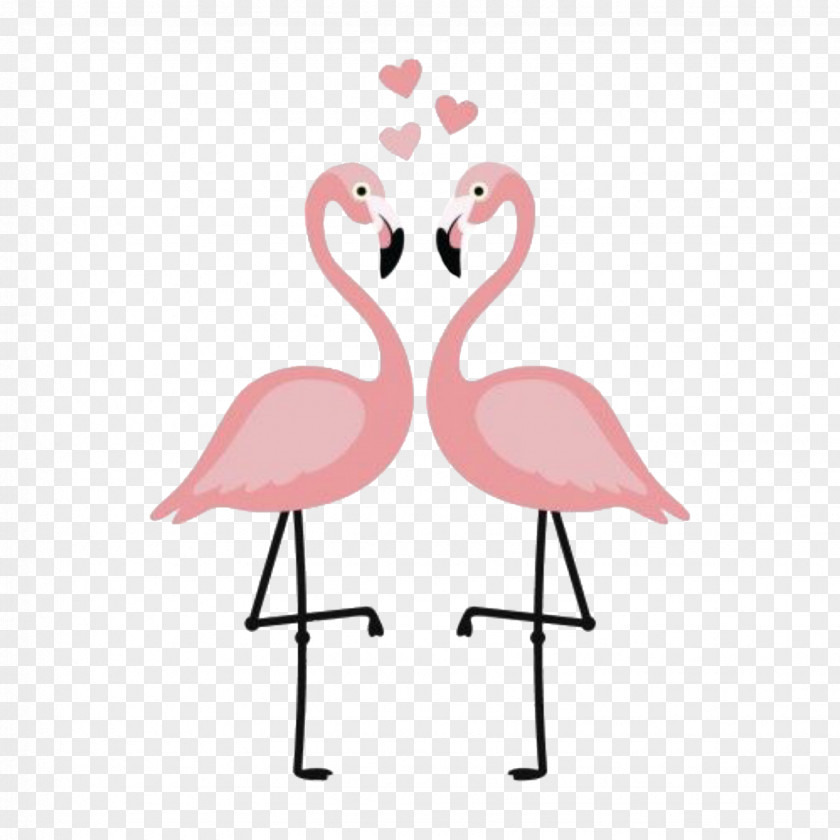 Bird Flamingos Paper Clip Art Poster PNG