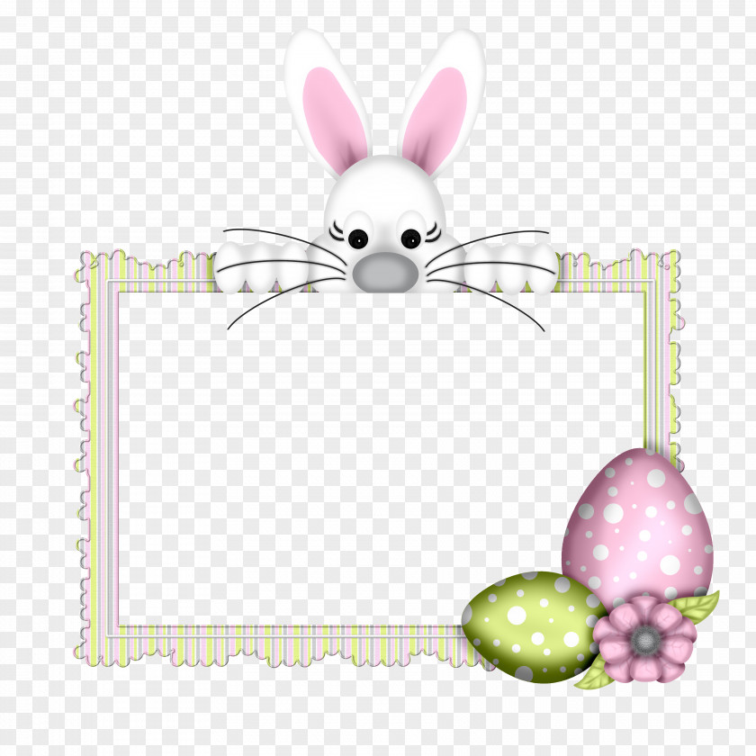 Bunnies Easter Bunny Egg Photography Hare PNG