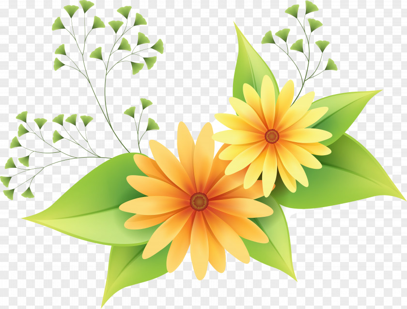 Flower Vector Graphics Clip Art Image PNG