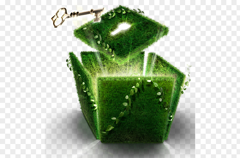 Grass Download File Size Computer PNG