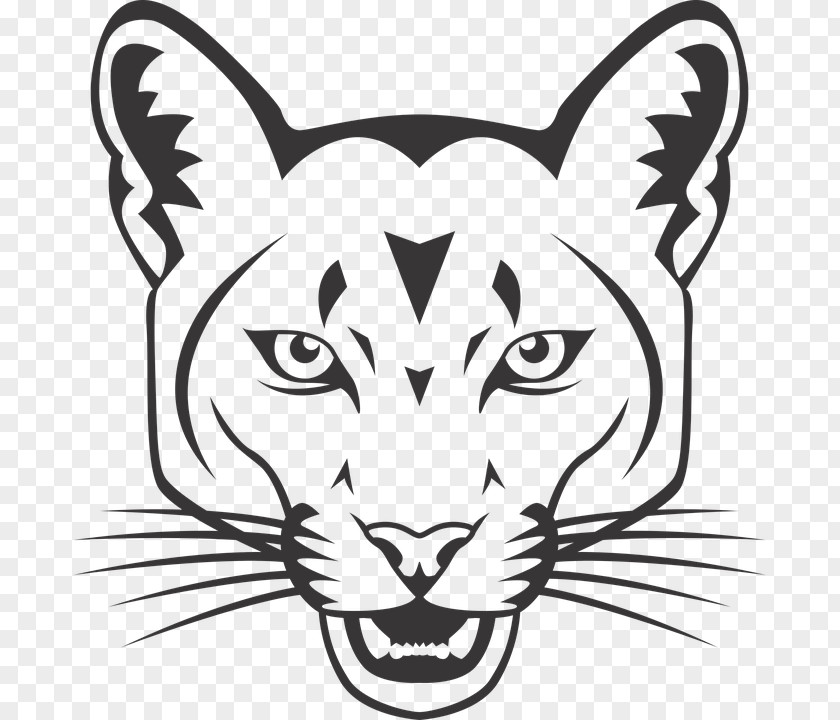 Lion Face Cougar Wildcat Felidae PNG