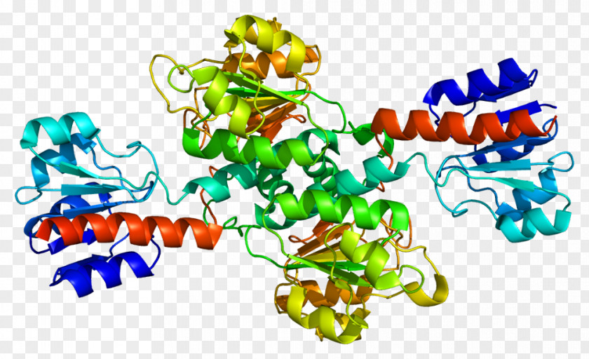 Proteins Phosphoglycerate Dehydrogenase 3-Phosphoglyceric Acid Enzyme Catalysis PNG