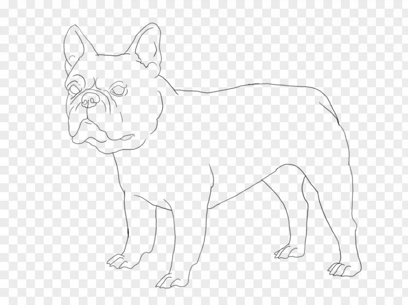 Puppy French Bulldog Dog Breed Non-sporting Group PNG