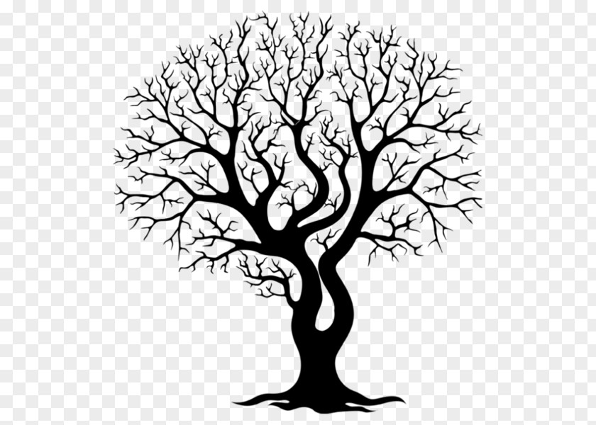 Tree Branch Wall Decal Trunk Drawing PNG