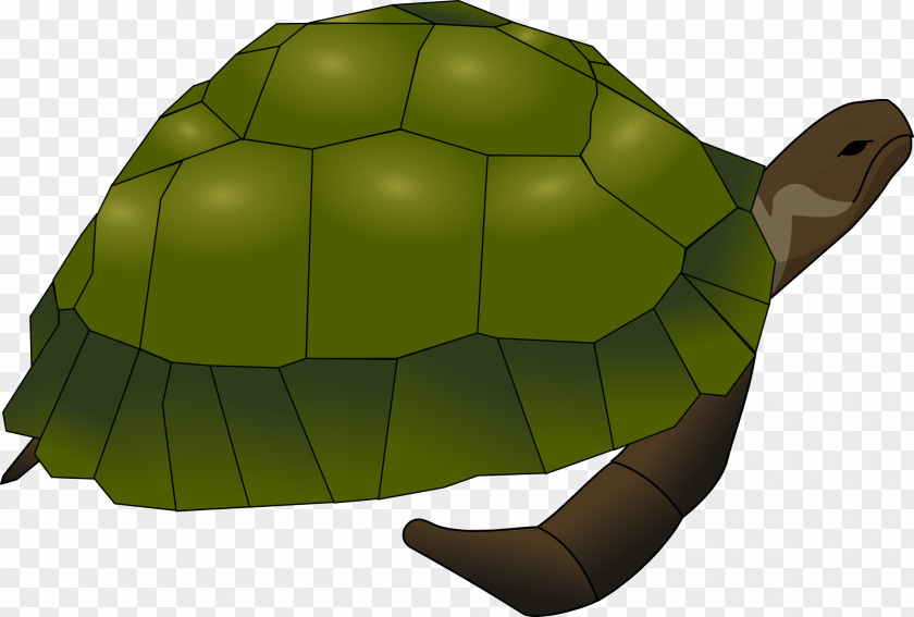 Turtle Sea Clip Art PNG